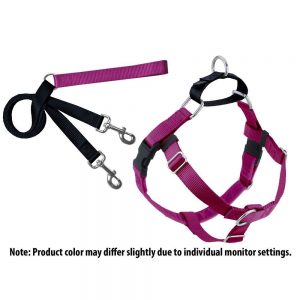 Freedom No-Pull Harness Training Package - Raspberry / Black