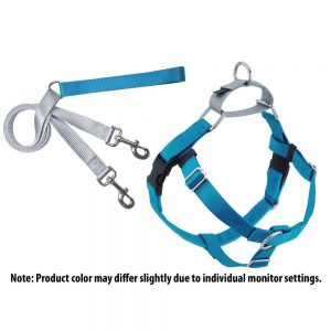 Freedom No-Pull Harness Training Package Turquoise / Silver